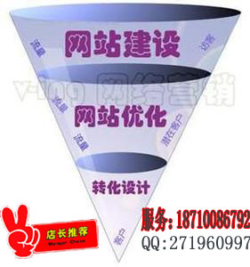 專業(yè)從事網(wǎng)站開發(fā),網(wǎng)站定制, 為需要排名的客戶(圖1)